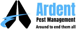 Ardent Logo
