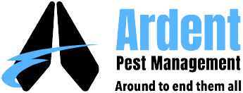 Ardent Logo