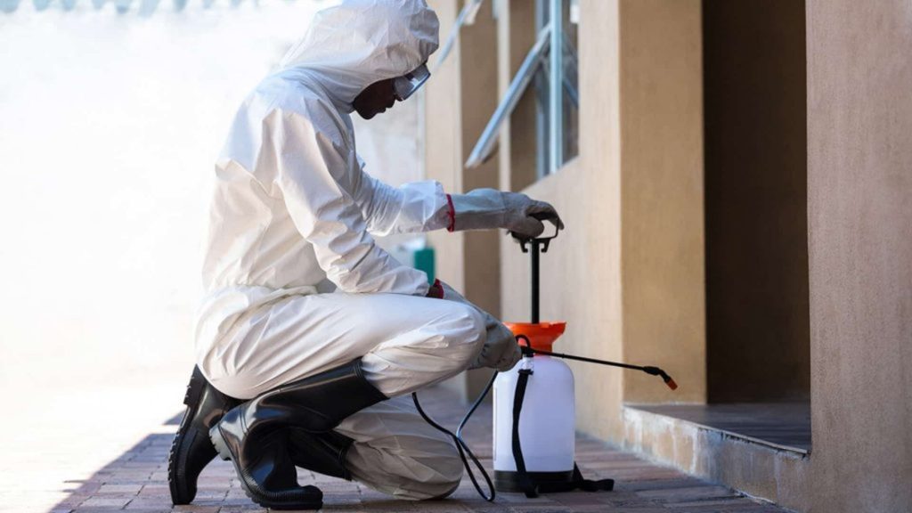 Pest Control Singapore