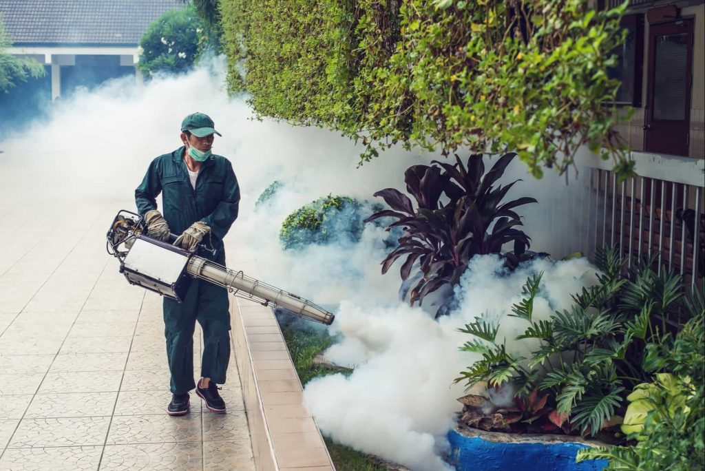 Mosquitoes Control Singapore