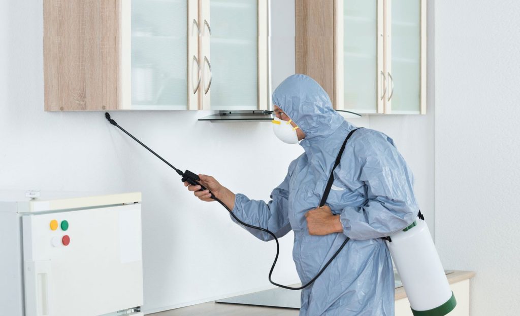 Termites Control Singapore