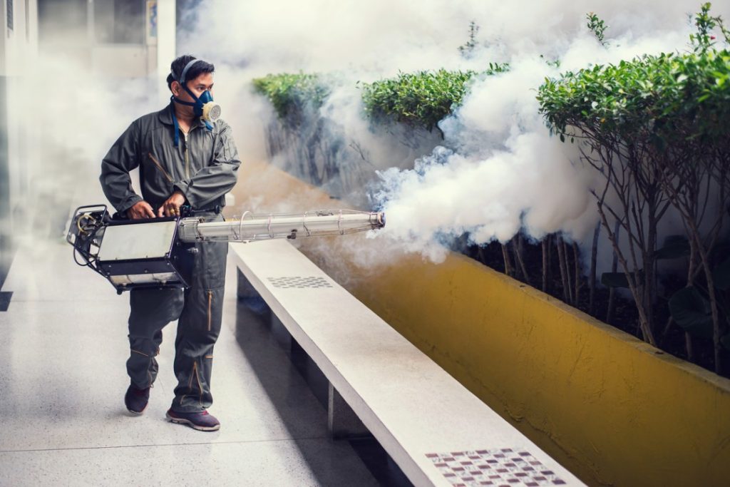 mosquitoes control Singapore
