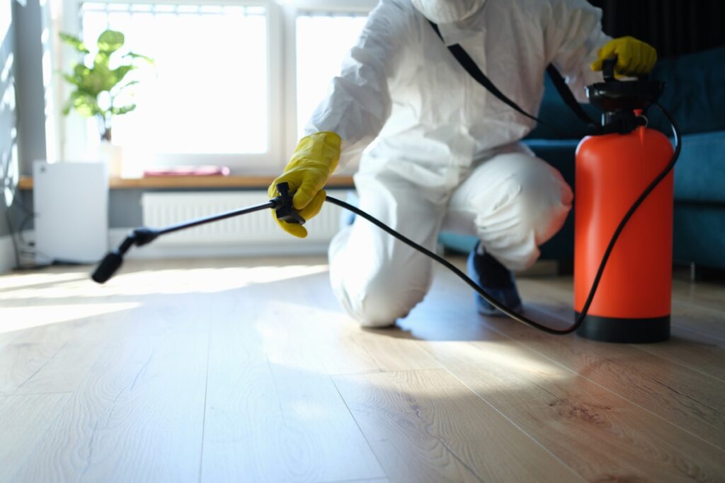 Pest Control Singapore