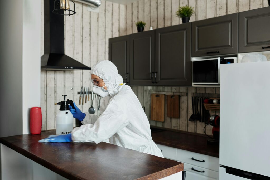 Pest Control Singapore Kitchen Pest Free Tips